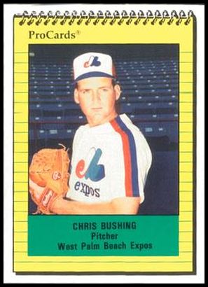 1219 Chris Bushing